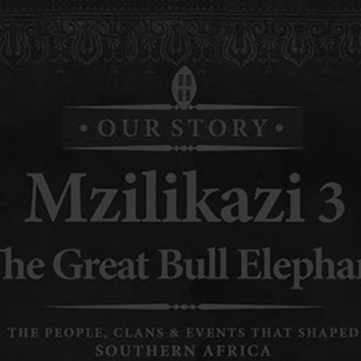 Mzilikazi Book 3 Project Thumbnail