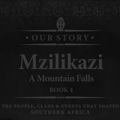 Mzilikazi Book 4 Project Thumbnail
